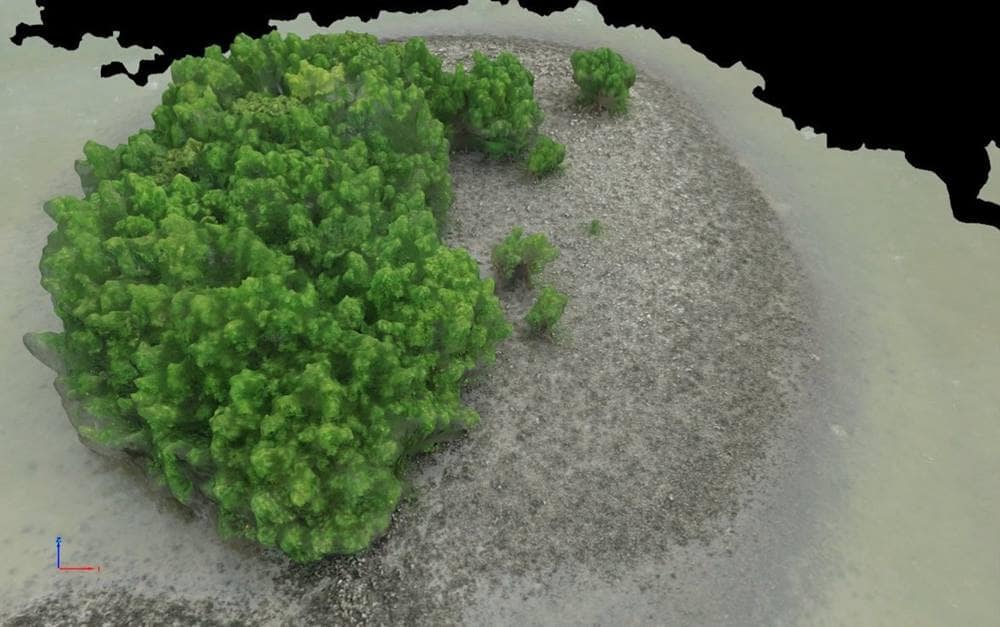 UAS cameras captured visuals that were processed into virtual renderings of oyster reefs near Edgewater, Fla. 