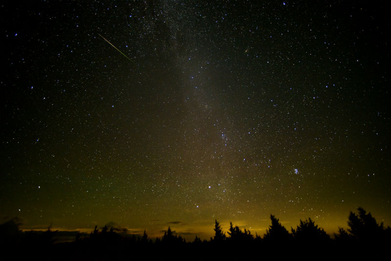 A shot of the Perseid meteor shower. Photo Credit: NASA