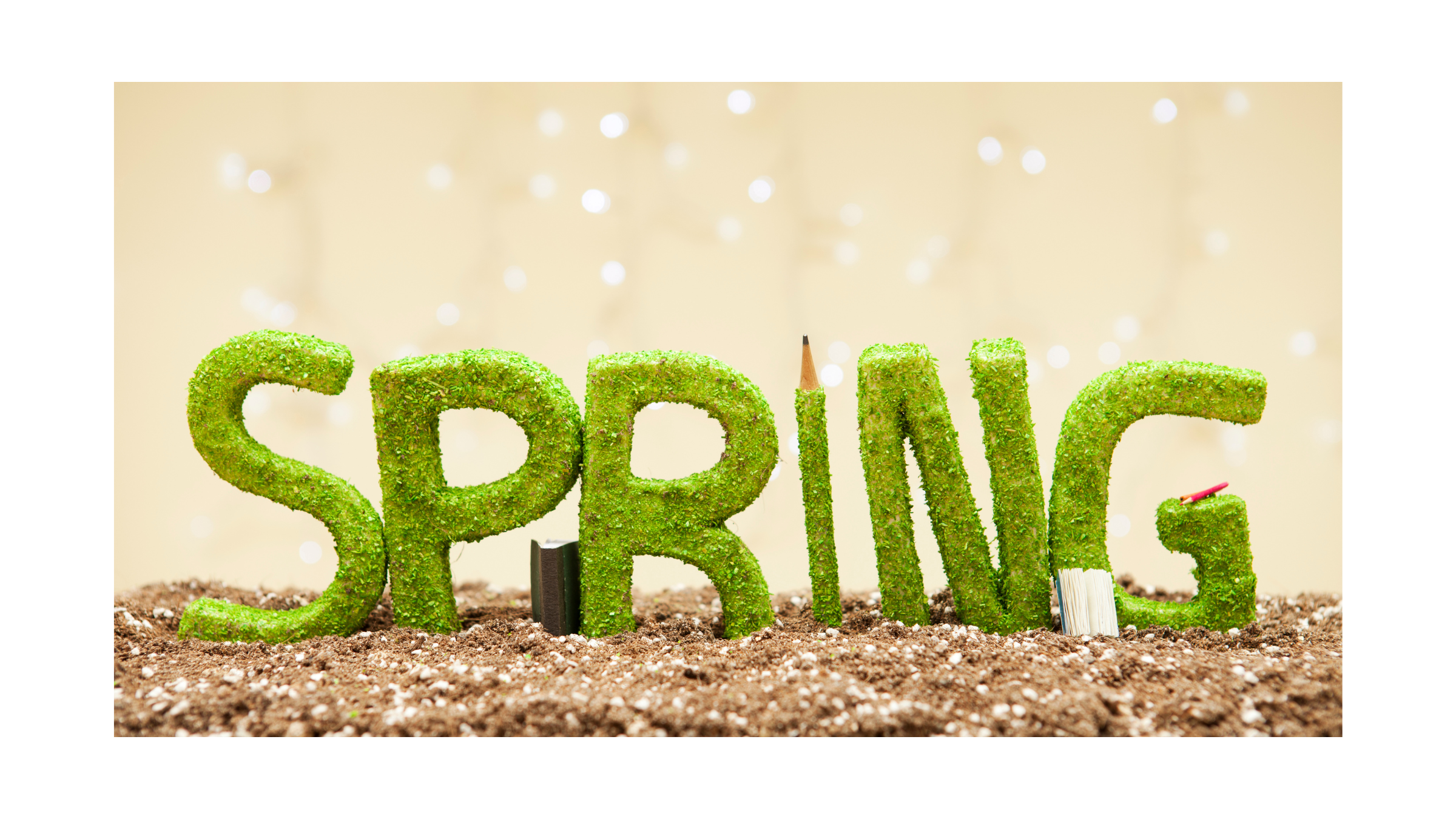 photo of the word spring