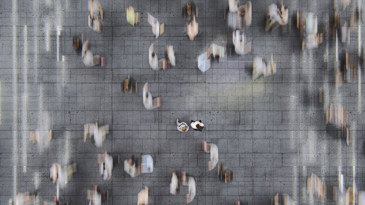 Crowd-Pedestrian-Dynamics