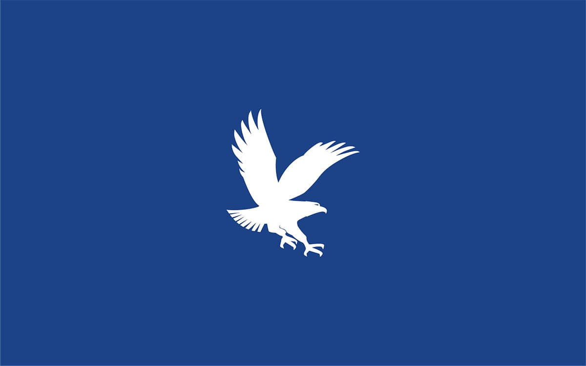 Embry-Riddle Blue Eagle Logo