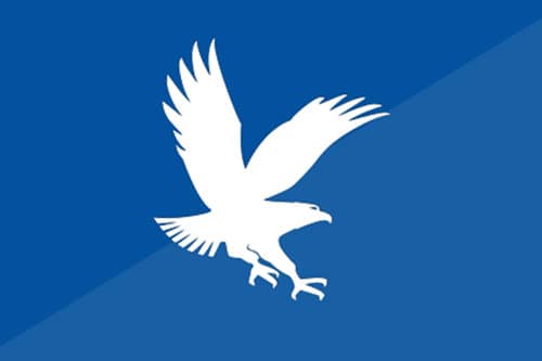 White ERAU eagle logo on blue background