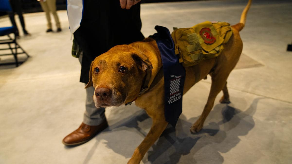 Embry-Riddle graduates celebrate at a series of commencement ceremonies for the Daytona Beach and Prescott campuses. A total of 988 students were awarded their degrees. 