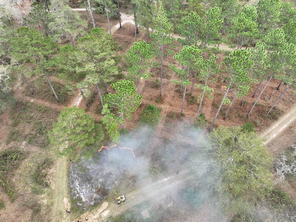 An aerial shot of the controlled burn where drone weather sensors and communication technologies were tested.