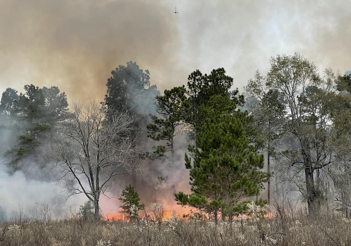 Wildfire with drone overhead