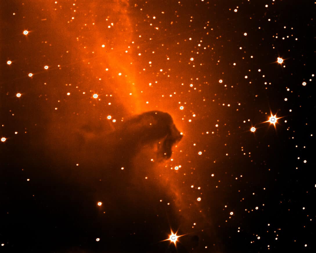 An image of the Horsehead Nebula captured by the new 20-inch telescope on Embry-Riddle's Prescott Campus