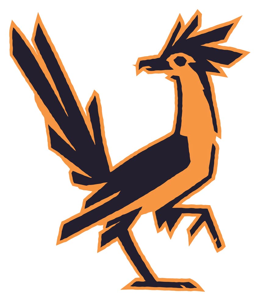 Roadrunner Logo