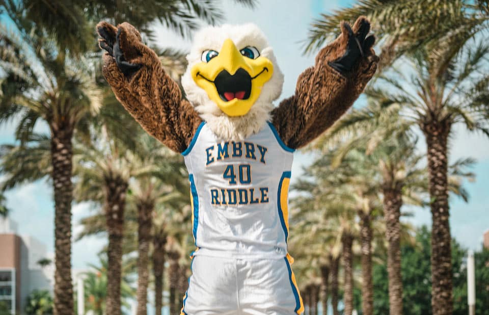 ERAU mascot Ernie standing in front of palm trees with arms raised to celebrate.