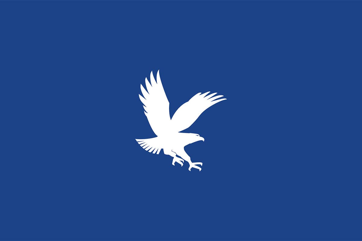 White Eagle Logo on Blue Background