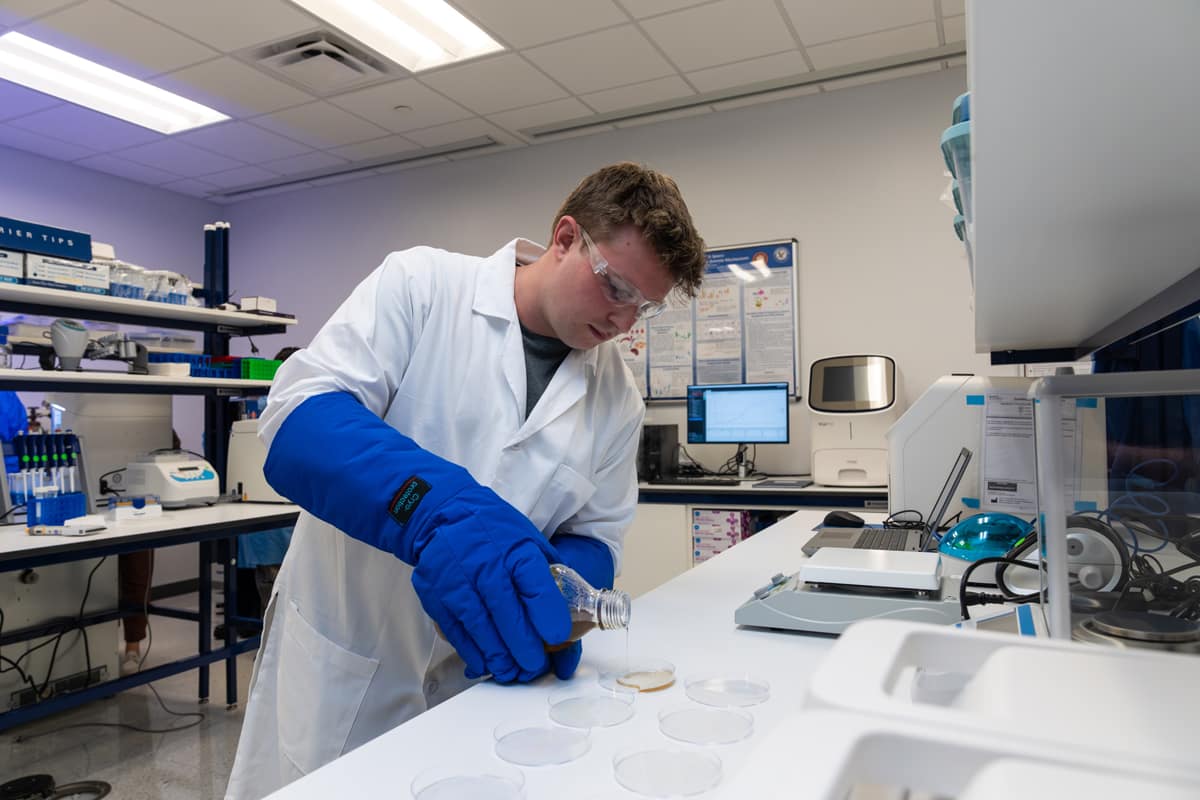 Yegor Bushnev, a senior majoring in Aerospace Physiology, prepares agar plates for growing bacteria.