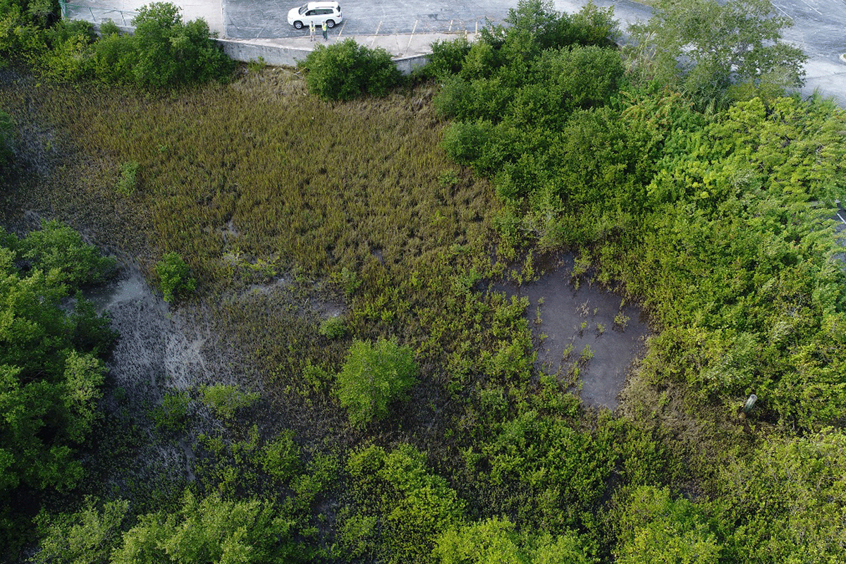 Aerial shot from a drone