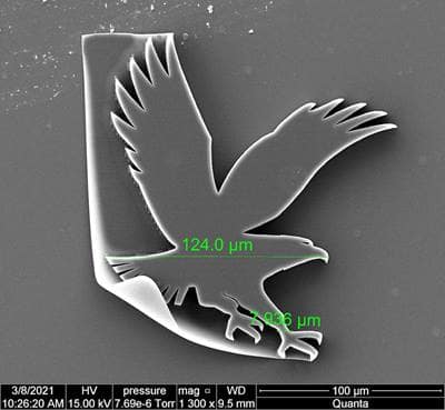 An image captured by a scanning electron microscope shows an early practice print produced by the university’s new Nanoscribe Phototonic Professional GT2 nanoscale printer. The 3D print of the university’s eagle logo displays the micrometer measurements of the test print produced with a photoresin material with gold sputter coating. As faculty and students gain more experience with the equipment, improvements in the printing and curing process will produce more precise prints for various research initiatives.