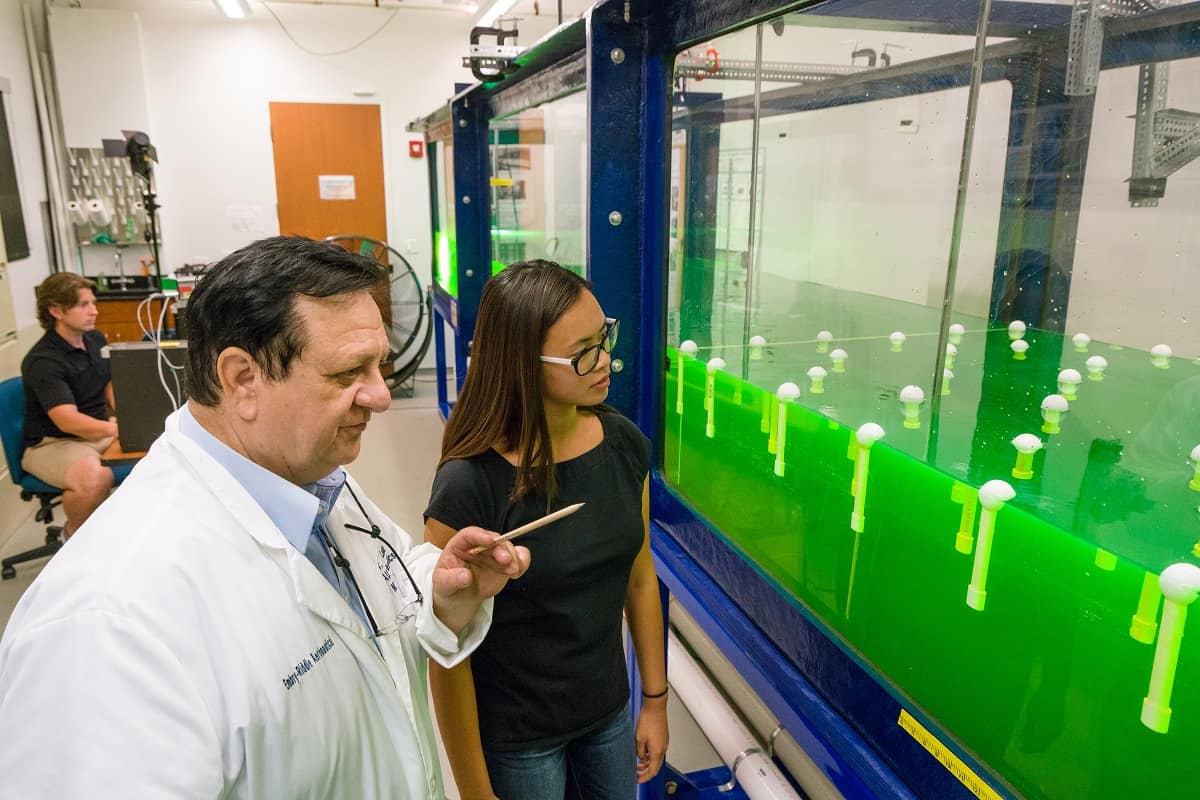 Professor Andrei Ludu works with Embry-Riddle student Moriah Calfin and a nonlinear wave tank.